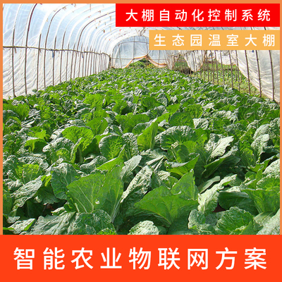 科技赋能，绿色未来 智能大棚与生态农业的融合开发之路